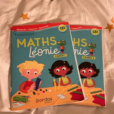 Lot de manuels scolaires maths ce1 ce2